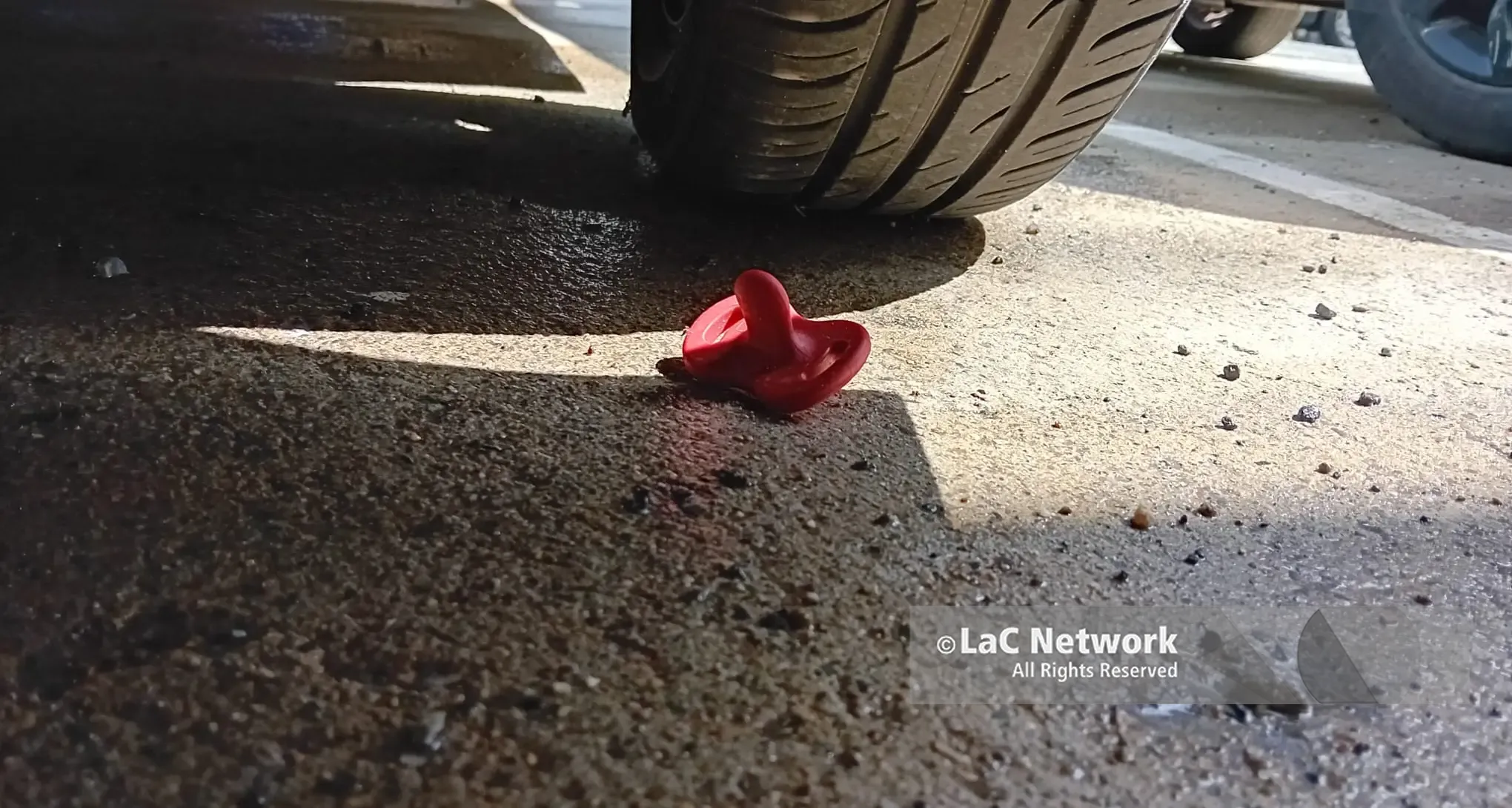 La tragedia di Catanzaro e il paradosso del dolore: quando ci si uccide per non morire ogni giorno\n