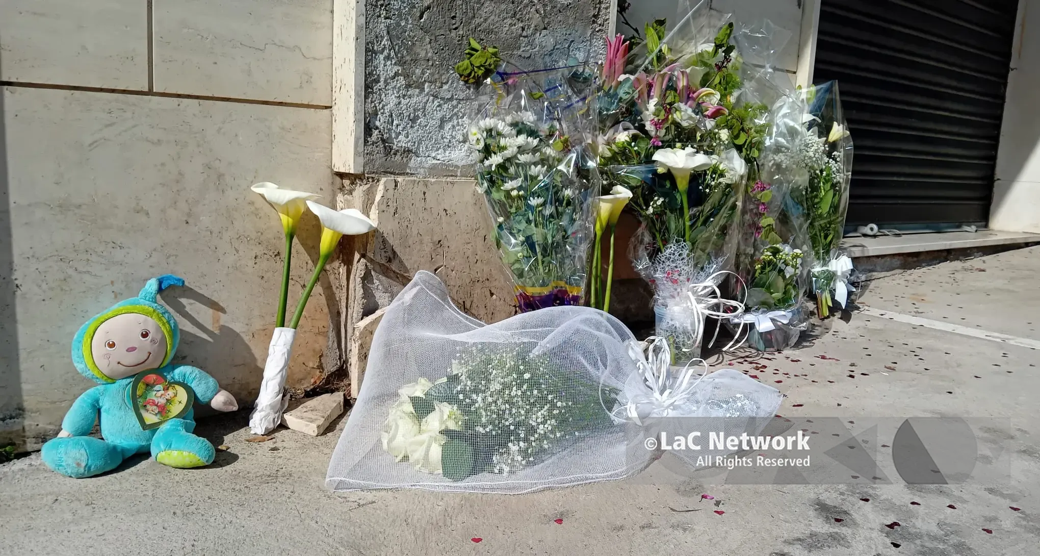 «Solare e generosa, ma portava il suo dolore dentro»: Catanzaro si stringe in preghiera per mamma Anna e i suoi bimbi\n