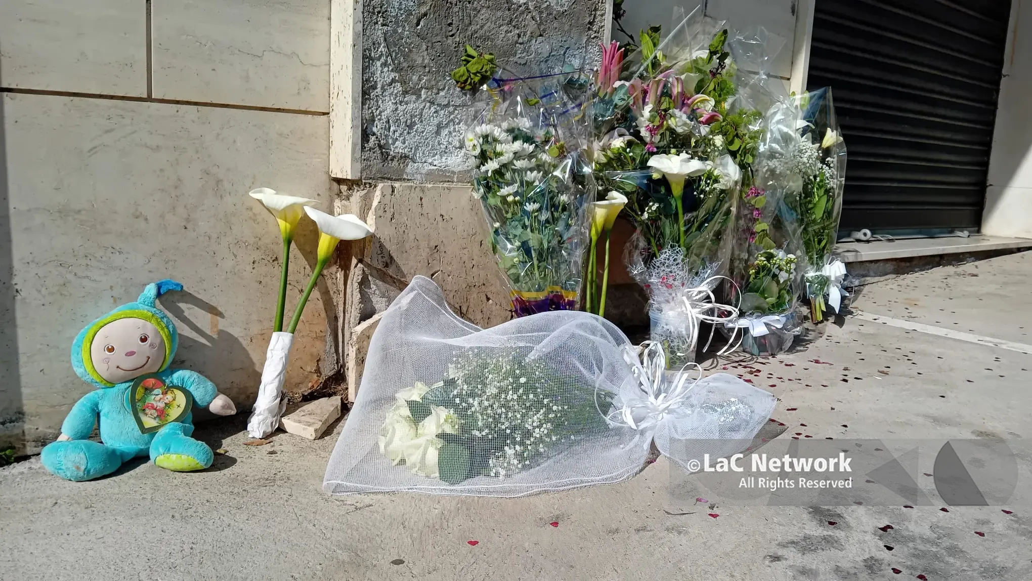 «Solare e generosa, ma portava il suo dolore dentro»: Catanzaro si stringe in preghiera per mamma Anna e i suoi bimbi\n