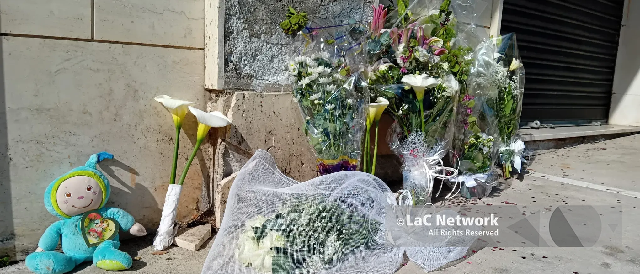 «Solare e generosa, ma portava il suo dolore dentro»: Catanzaro si stringe in preghiera per mamma Anna e i suoi bimbi\n