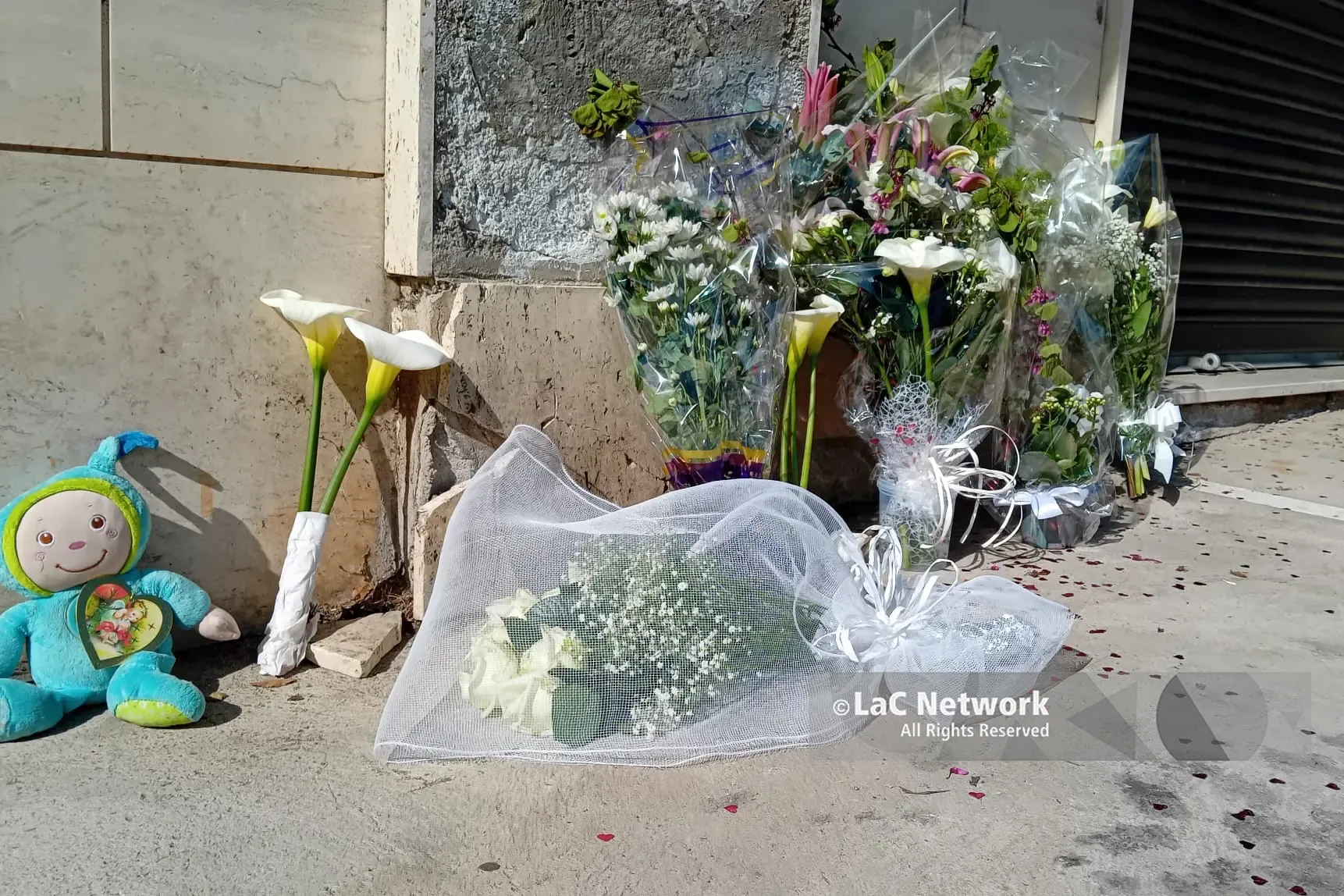 «Solare e generosa, ma portava il suo dolore dentro»: Catanzaro si stringe in preghiera per mamma Anna e i suoi bimbi\n