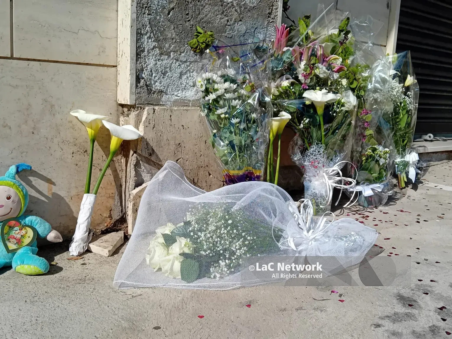 «Solare e generosa, ma portava il suo dolore dentro»: Catanzaro si stringe in preghiera per mamma Anna e i suoi bimbi