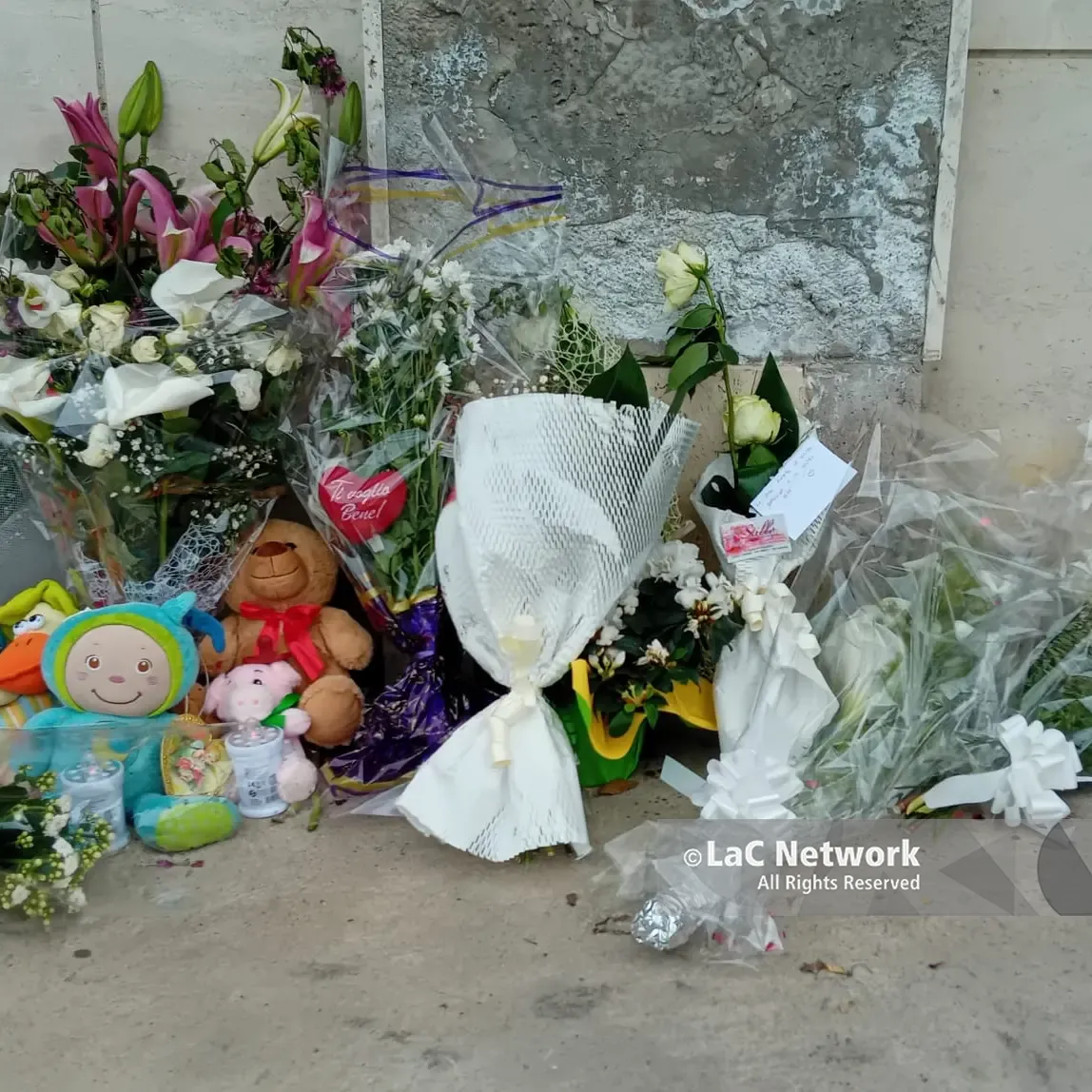 Domani l’ultimo saluto ad Anna Democrito e ai piccoli Nicola e Giuseppe: lutto cittadino a Catanzaro\n