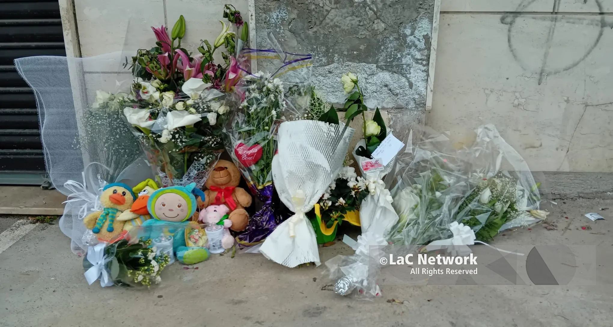 Domani l’ultimo saluto ad Anna Democrito e ai piccoli Nicola e Giuseppe: lutto cittadino a Catanzaro\n