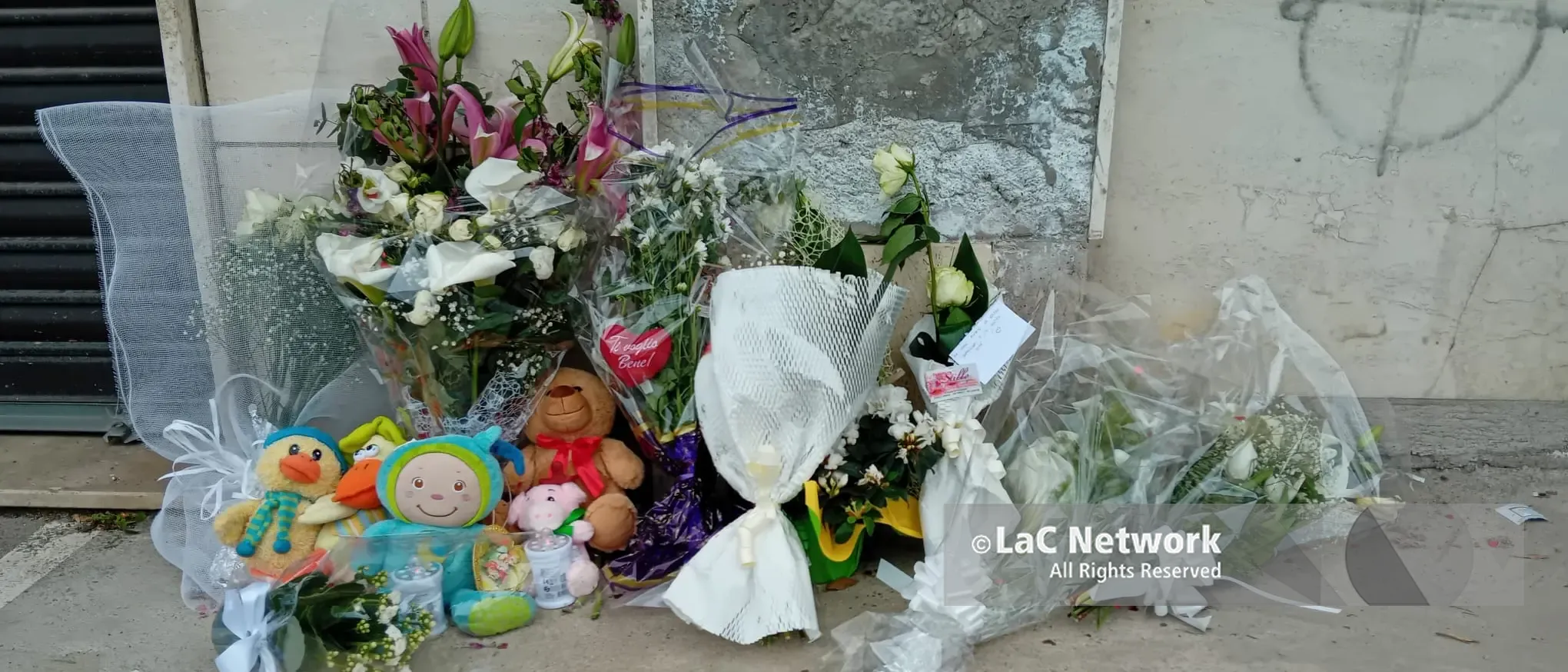 Domani l’ultimo saluto ad Anna Democrito e ai piccoli Nicola e Giuseppe: lutto cittadino a Catanzaro\n