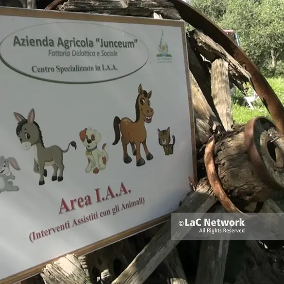 Non chiamatela “Pet therapy”, a Vibo la prima realtà calabrese che impiega gli animali per percorsi di cura\n