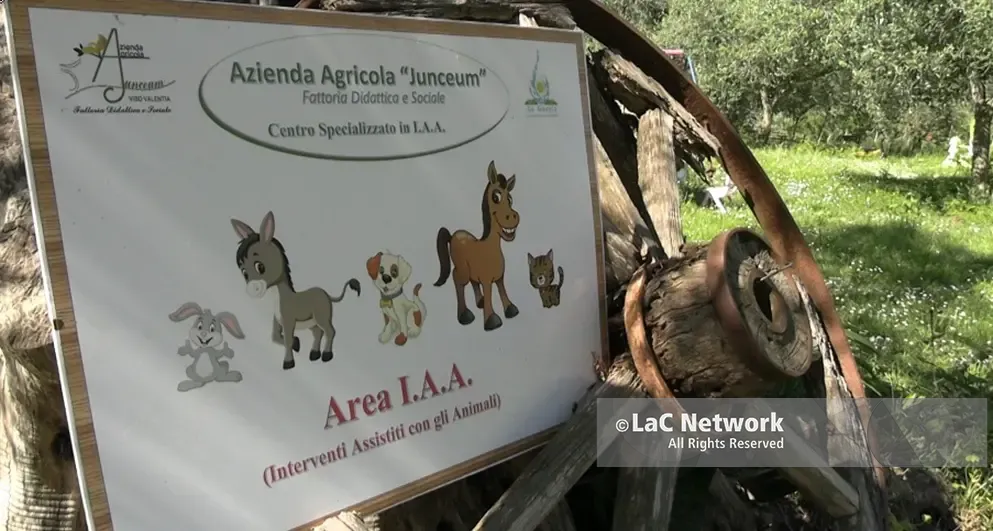 <p><span style=\"color:hsl(0, 75%, 60%);\">Non chiamatela “Pet therapy”</span>, a Vibo la prima realtà calabrese che impiega gli animali per percorsi di cura</p>