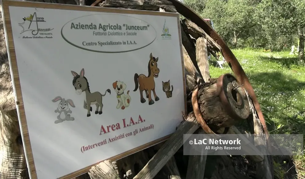Non chiamatela “Pet therapy”, a Vibo la prima realtà calabrese che impiega gli animali per percorsi di cura\n