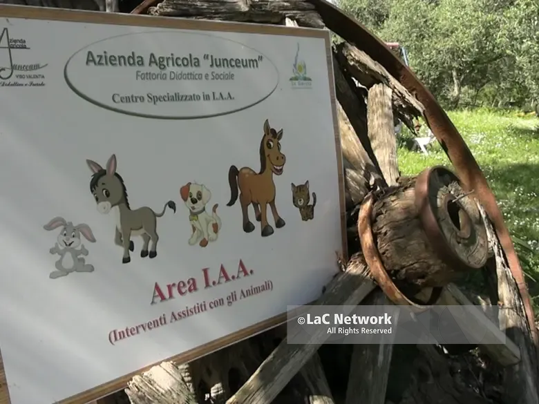 Non chiamatela “Pet therapy”, a Vibo la prima realtà calabrese che impiega gli animali per percorsi di cura