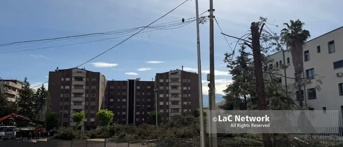 Alberi tagliati in viale Cosmai: erano pericolanti. Ora parte la ripiantumazione\n
