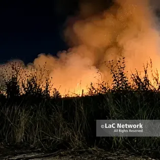 Sibari, allarme al Parco Archeologico: un incendio minaccia l'area protetta