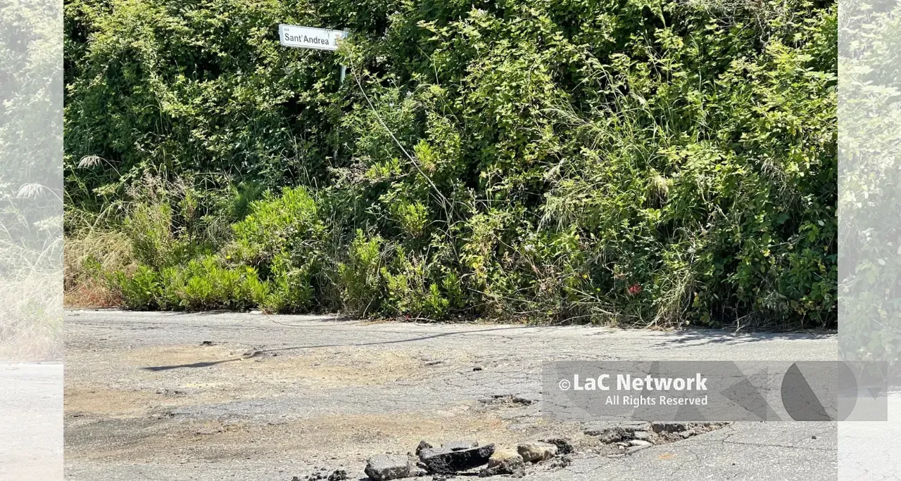 I “Parioli” di Vibo Marina nel degrado, contrada Sant’Andrea ostaggio di buche e vegetazione selvaggia: «Ci hanno abbandonati»\n