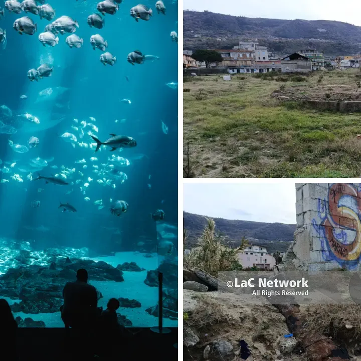 Vibo Marina, dalla Giunta via libera al progetto dell’acquario da 8 milioni per riqualificare l’area dell’ex Basalti & Bitumi\n