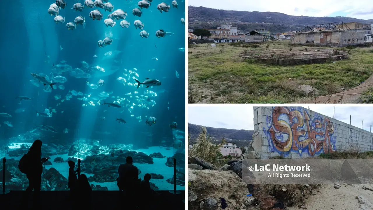 <p>Vibo Marina, dalla Giunta via libera al progetto dell’acquario da <span style=\"color:hsl(0, 75%, 60%);\">8 milioni per riqualificare l’area</span> dell’ex Basalti &amp; Bitumi</p>