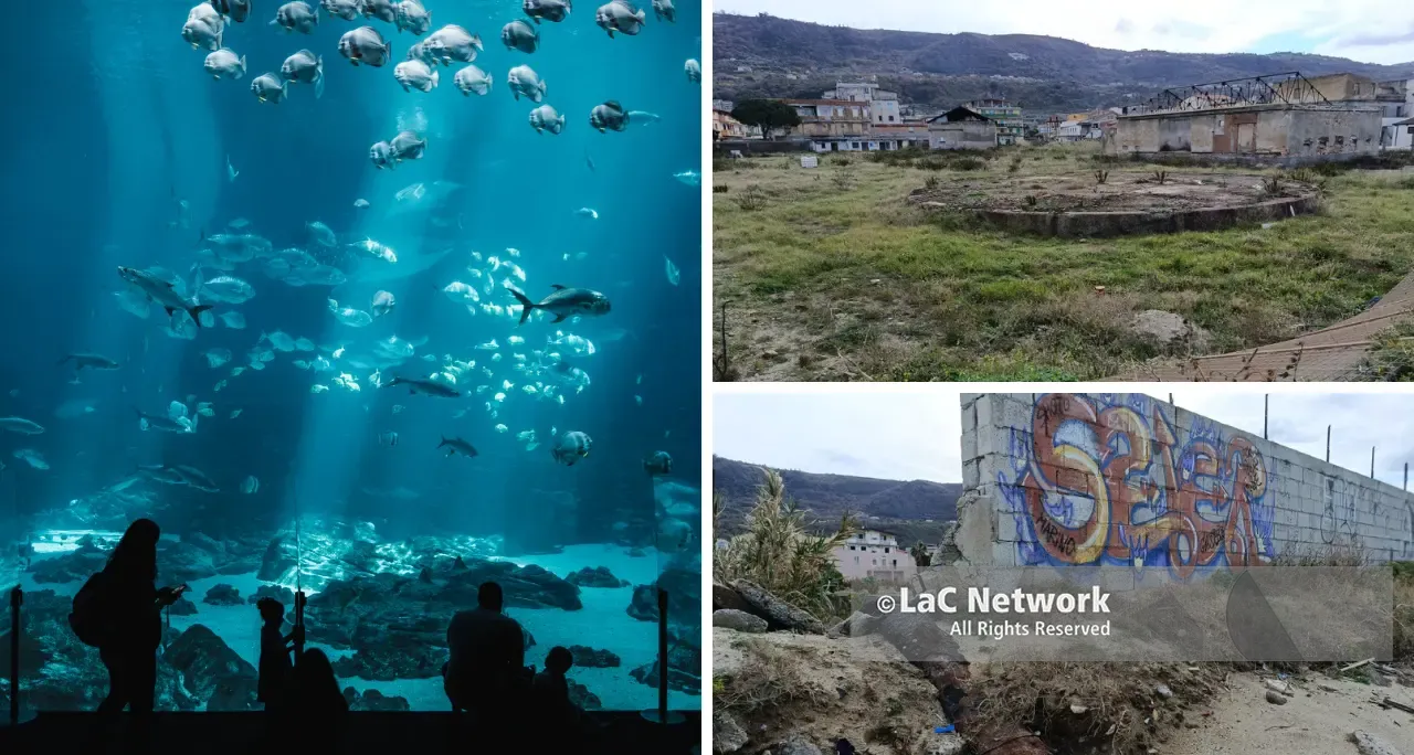 <p>Vibo, <span style=\"color:hsl(0, 75%, 60%);\">un acquario da 8 milioni </span>per riqualificare un'area industriale dismessa da 20 anni: dalla Giunta l'ok al progetto</p>
