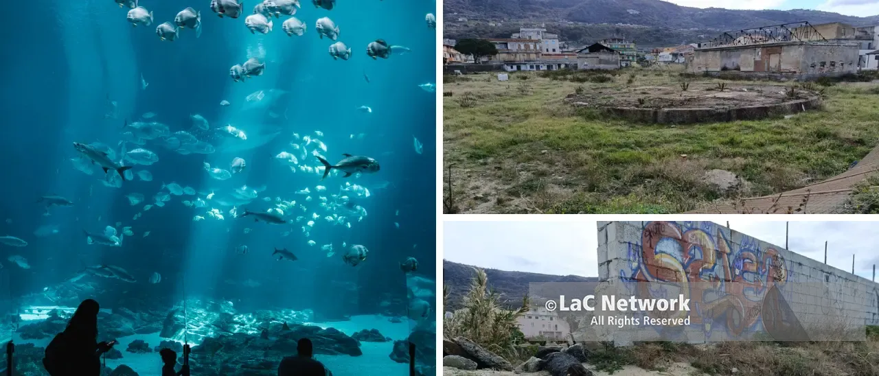 Vibo Marina, il Comune difende l’acquario da 8 milioni nell’ex Basalti: «Fondi vincolati, non possono essere spesi per altro»\n
