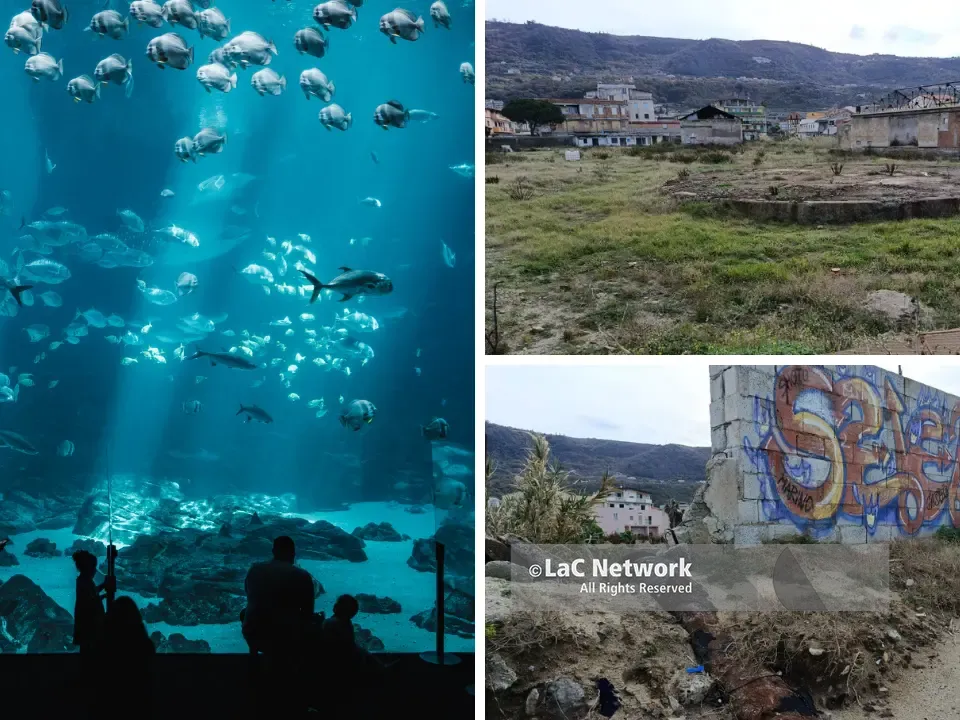 Vibo Marina, dalla Giunta via libera al progetto dell’acquario da 8 milioni per riqualificare l’area dell’ex Basalti & Bitumi
