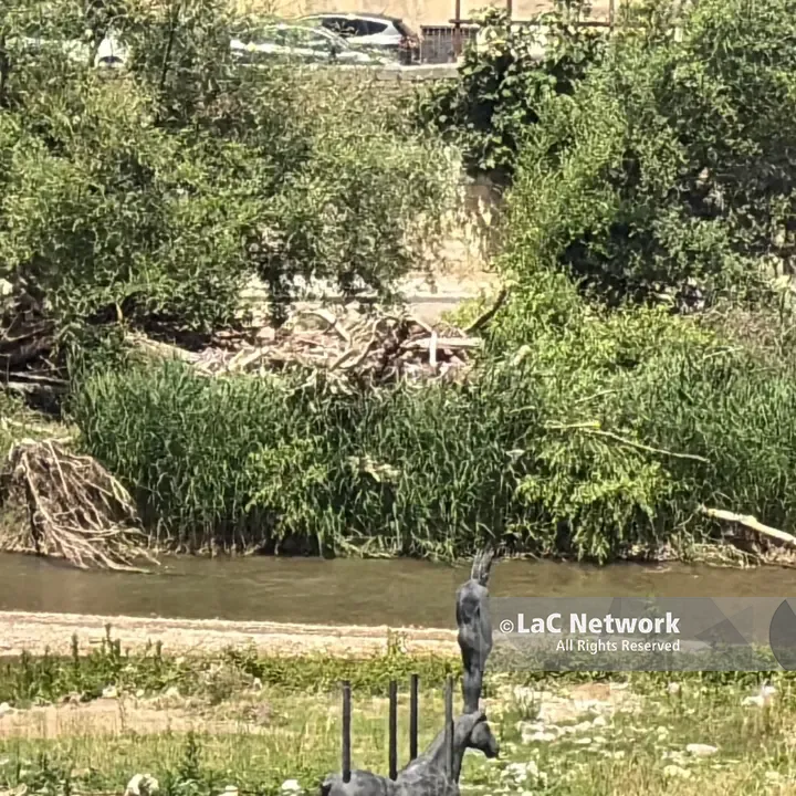 Cosenza, se il fiume Crati porta ancora i segni di Nils: tronchi lungo tutto il corso d’acqua\n