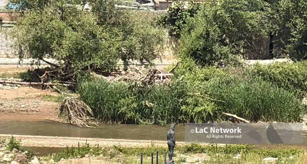 Cosenza, se il fiume Crati porta ancora i segni di Nils: tronchi lungo tutto il corso d’acqua\n