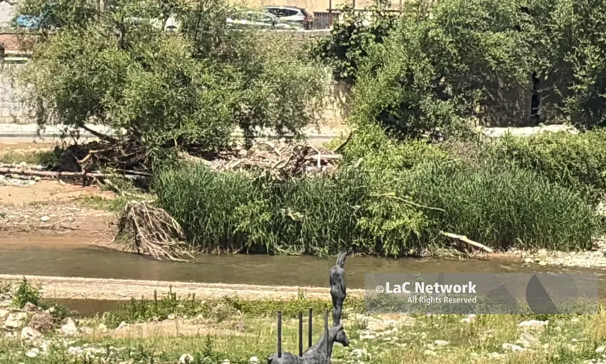 Cosenza, se il fiume Crati porta ancora i segni di Nils: tronchi lungo tutto il corso d’acqua\n
