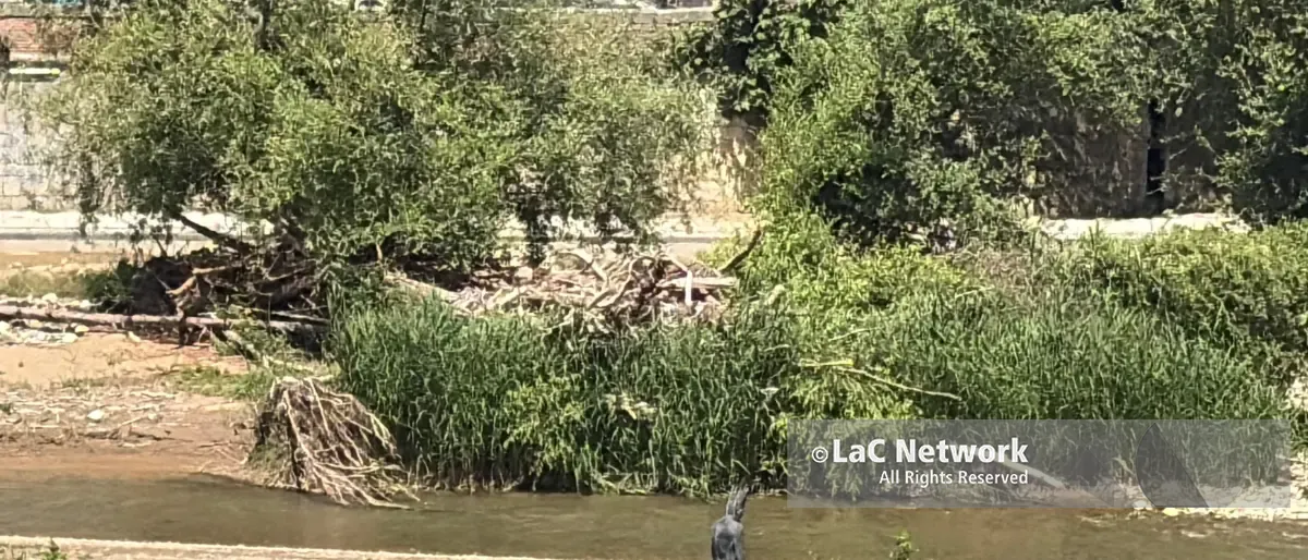 Cosenza, se il fiume Crati porta ancora i segni di Nils: tronchi lungo tutto il corso d’acqua\n