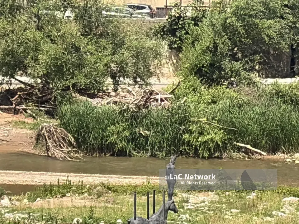 Cosenza, se il fiume Crati porta ancora i segni di Nils: tronchi lungo tutto il corso d’acqua