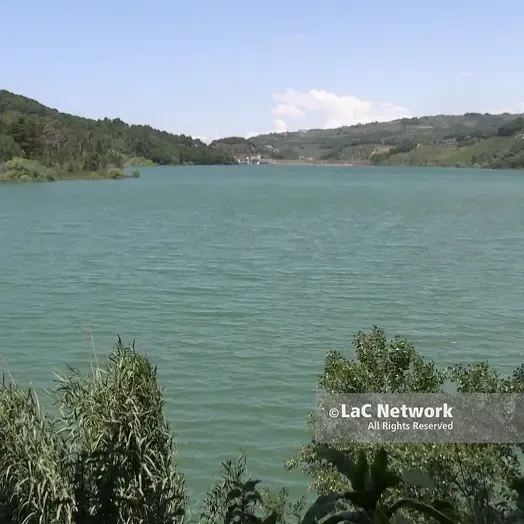 L’Oasi Wwf dell’Angitola è un tesoro vibonese di biodiversità, Pino Paolillo: «Lago in ottimo stato»