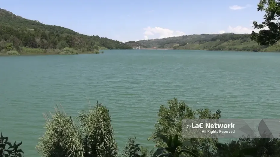 <p>L'oasi Wwf del Lago Angitola&nbsp;</p>\\n