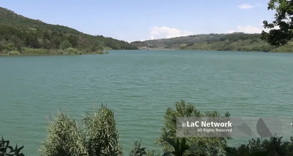 L’Oasi Wwf dell’Angitola è un tesoro vibonese di biodiversità, Pino Paolillo: «Lago in ottimo stato»\n