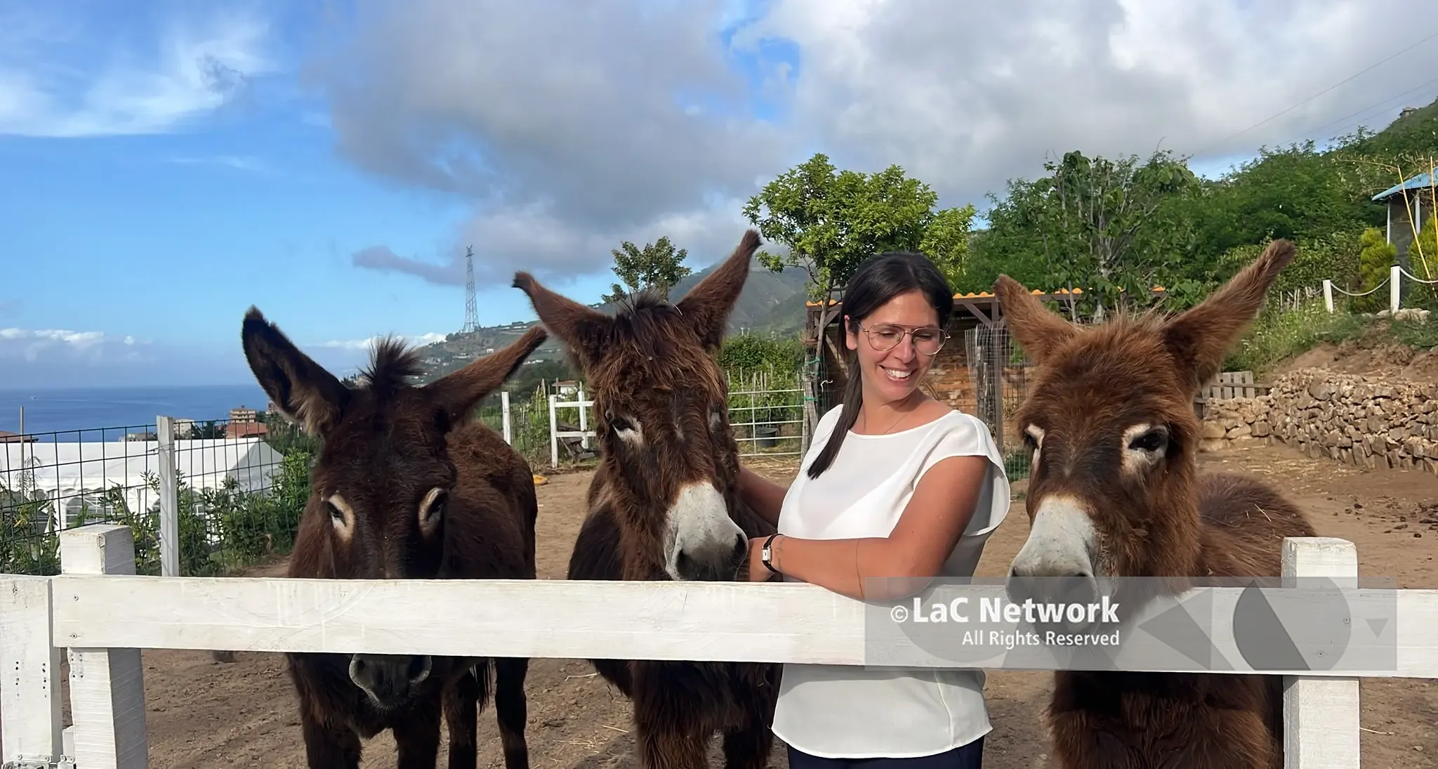 Pet therapy, a Villa San Giovanni c'è un'oasi dove gli animali aiutano a superare barriere e fragilità\n