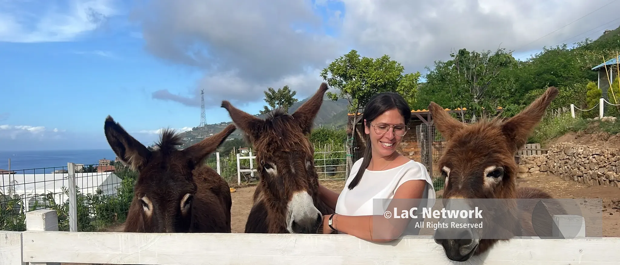 Pet therapy, a Villa San Giovanni c'è un'oasi dove gli animali aiutano a superare barriere e fragilità\n