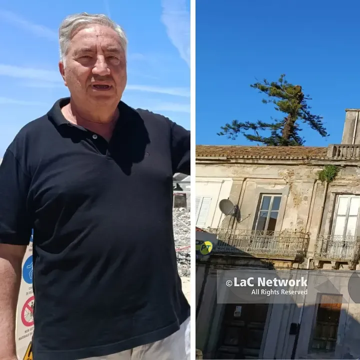 Araucaria ferita a Pizzo, Pititto attende l’esito delle perizie: «Nessuno sradicamento, vogliamo salvarla proprio dov’è»\n