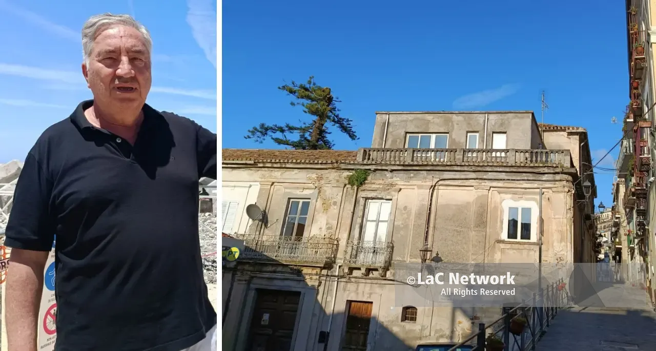 Araucaria ferita a Pizzo, Pititto attende l’esito delle perizie: «Nessuno sradicamento, vogliamo salvarla proprio dov’è»\n