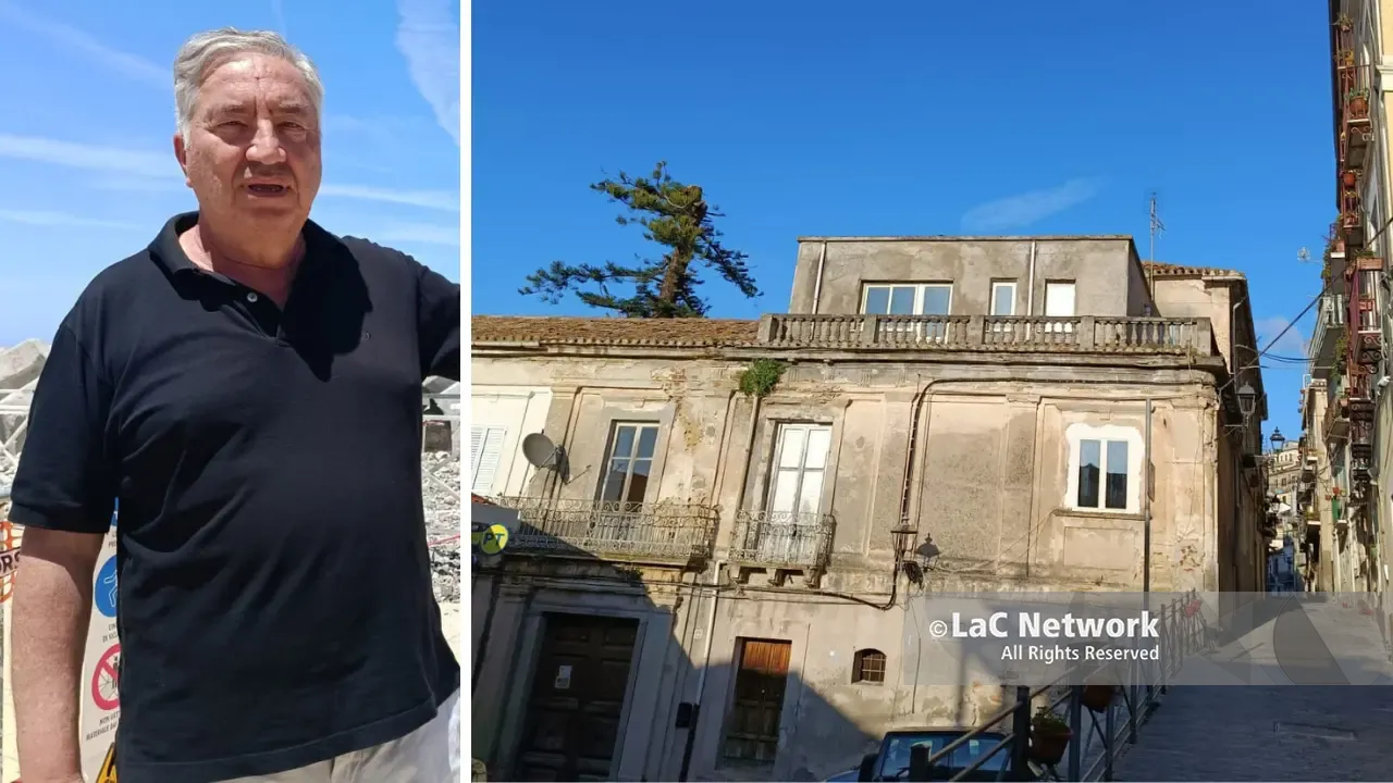 Araucaria ferita a Pizzo, Pititto attende l’esito delle perizie: «Nessuno sradicamento, vogliamo salvarla proprio dov’è»\n
