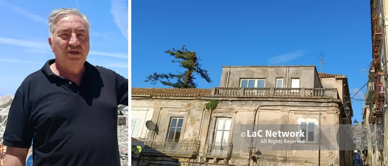 Araucaria ferita a Pizzo, Pititto attende l’esito delle perizie: «Nessuno sradicamento, vogliamo salvarla proprio dov’è»\n