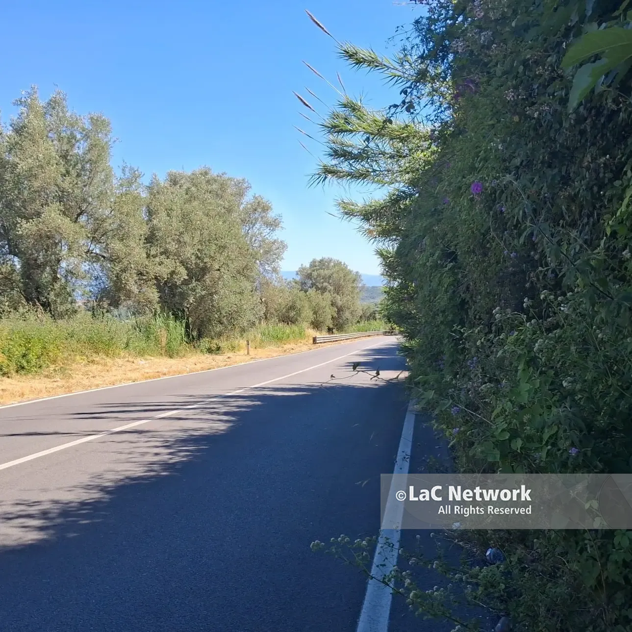 Passa il Giro d’Italia (giovani) e la Statale 18 Mileto-Vibo viene pulita…\u00A0ma solo sul lato percorso dai corridori\u00A0\n