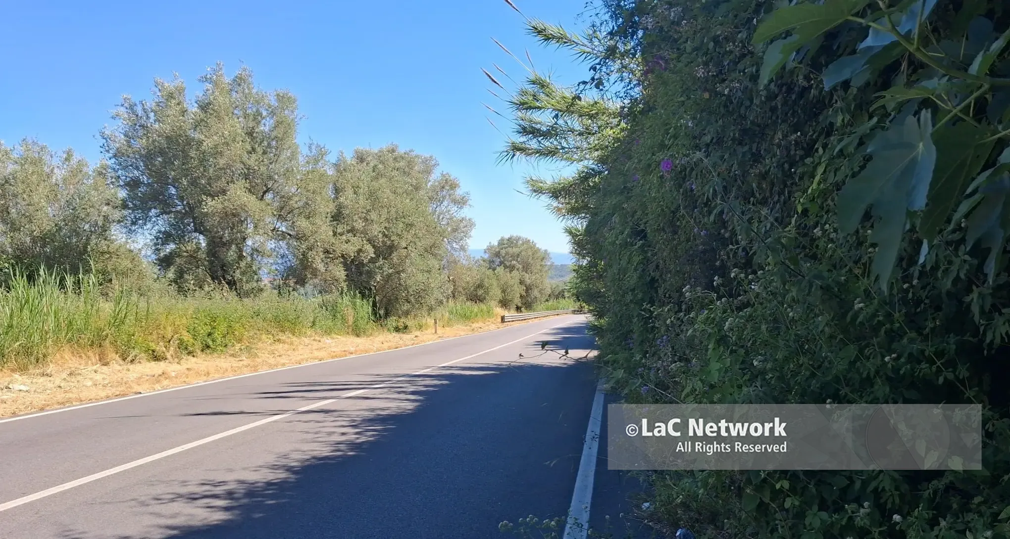 Passa il Giro d’Italia (giovani) e la Statale 18 Mileto-Vibo viene pulita…\u00A0ma solo sul lato percorso dai corridori\u00A0\n
