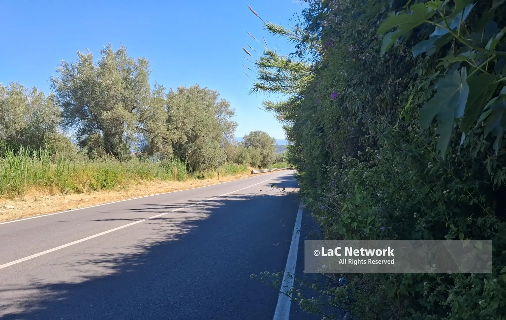 Passa il Giro d’Italia (giovani) e la Statale 18 Mileto-Vibo viene pulita…\u00A0ma solo sul lato percorso dai corridori\u00A0\n
