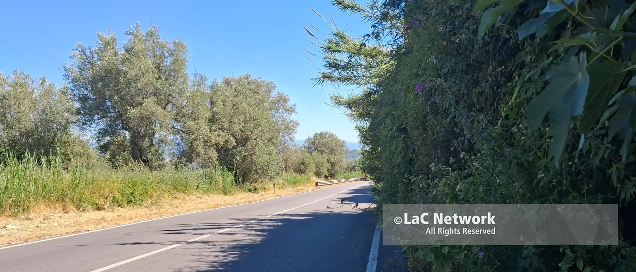 Passa il Giro d’Italia (giovani) e la Statale 18 Mileto-Vibo viene pulita…\u00A0ma solo sul lato percorso dai corridori\u00A0\n