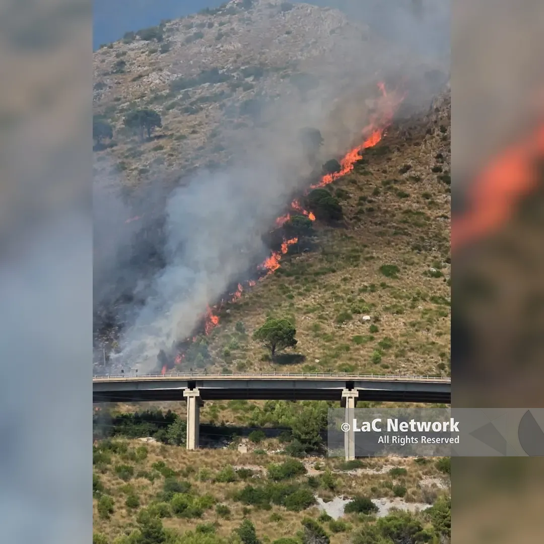 <p>Praia a Mare, in fiamme il monte Vingiolo: al lavoro i canadair per domare l'incendio</p>