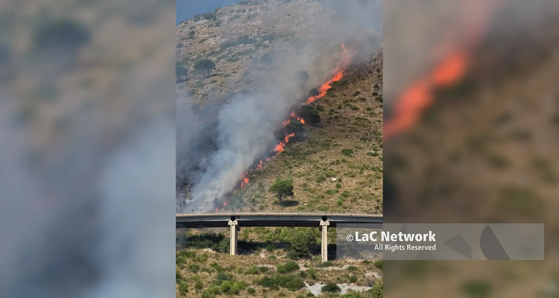 Incendio sul monte Vingiolo a Praia a Mare, canadair in azione per spegnere le fiamme\n