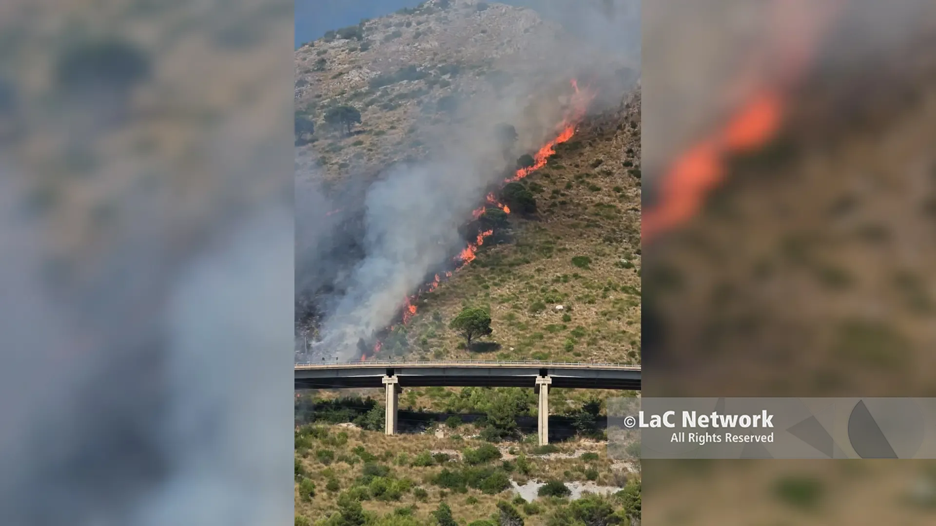 Incendio sul monte Vingiolo a Praia a Mare, canadair in azione per spegnere le fiamme\n