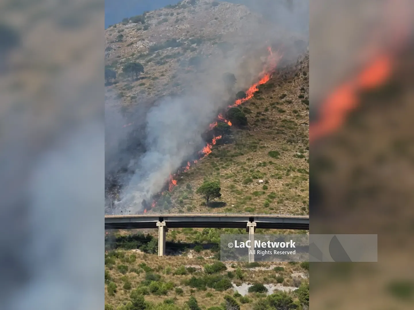 Incendio sul monte Vingiolo a Praia a Mare, canadair in azione per spegnere le fiamme