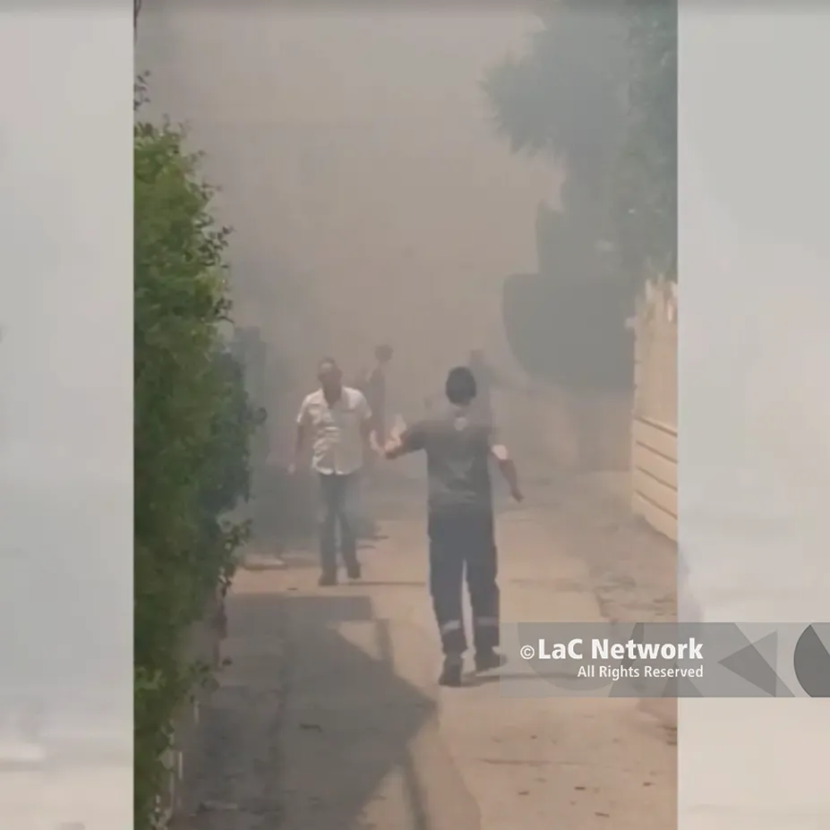 Paura a Lamezia, un incendio preoccupa i residenti\u00A0a Sant’Eufemia\u00A0\n