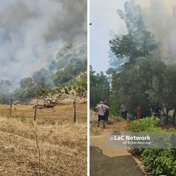 Cosenza, un vasto incendio devasta l'area sud: evacuazione immediata a Cozzo del Monaco\n