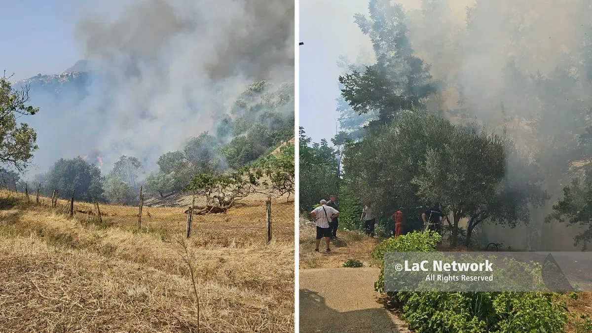 Vasto incendio a Cosenza sud