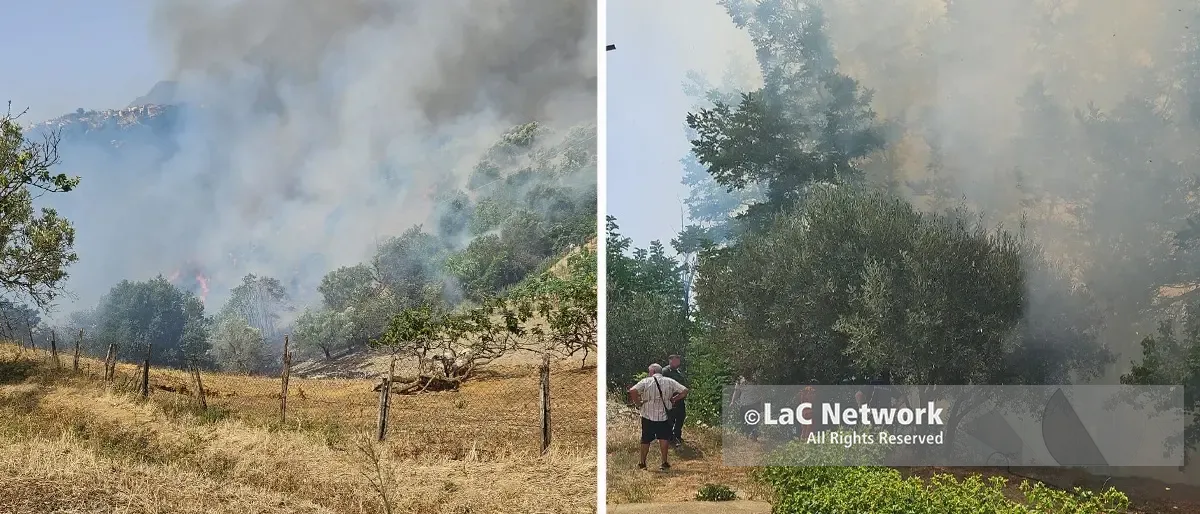 Cosenza, un vasto incendio devasta l'area sud: evacuazione immediata a Cozzo del Monaco\n
