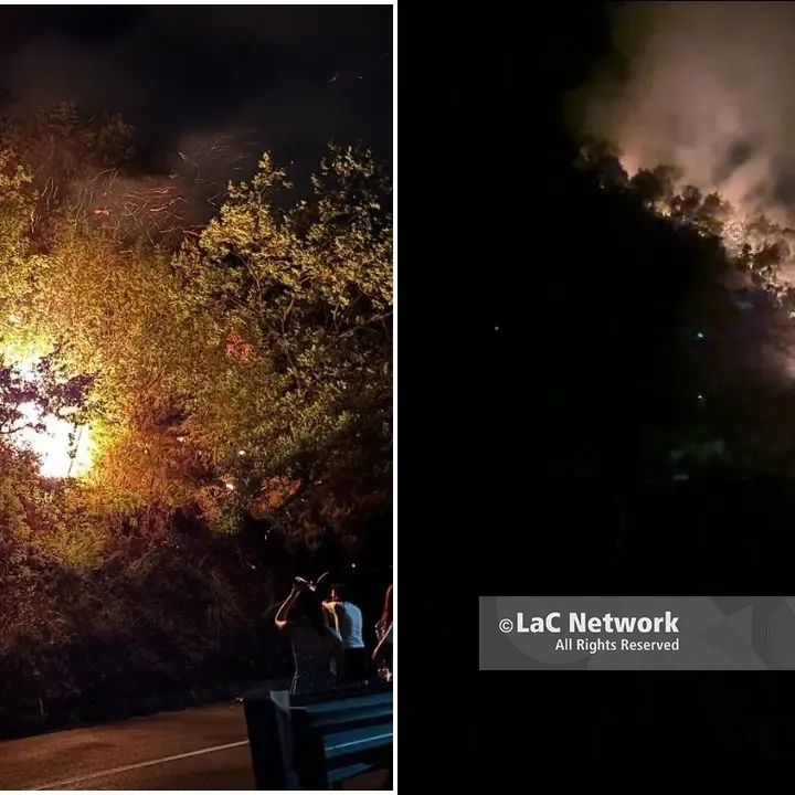 Incendio sulla Sp 257 a Carolei: residenti in strada per proteggere le proprie case dalle fiamme\u00A0–\u00A0VIDEO\u00A0\n