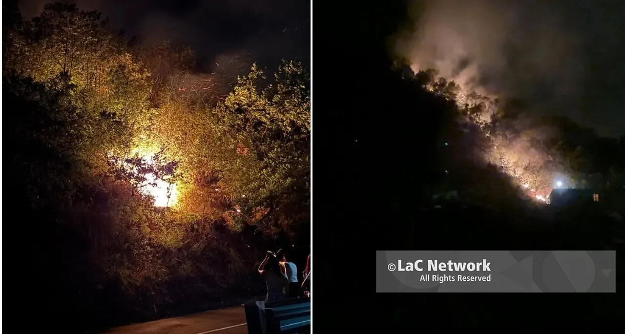 Incendio sulla Sp 257 a Carolei: residenti in strada per proteggere le proprie case dalle fiamme\u00A0–\u00A0VIDEO\u00A0\n