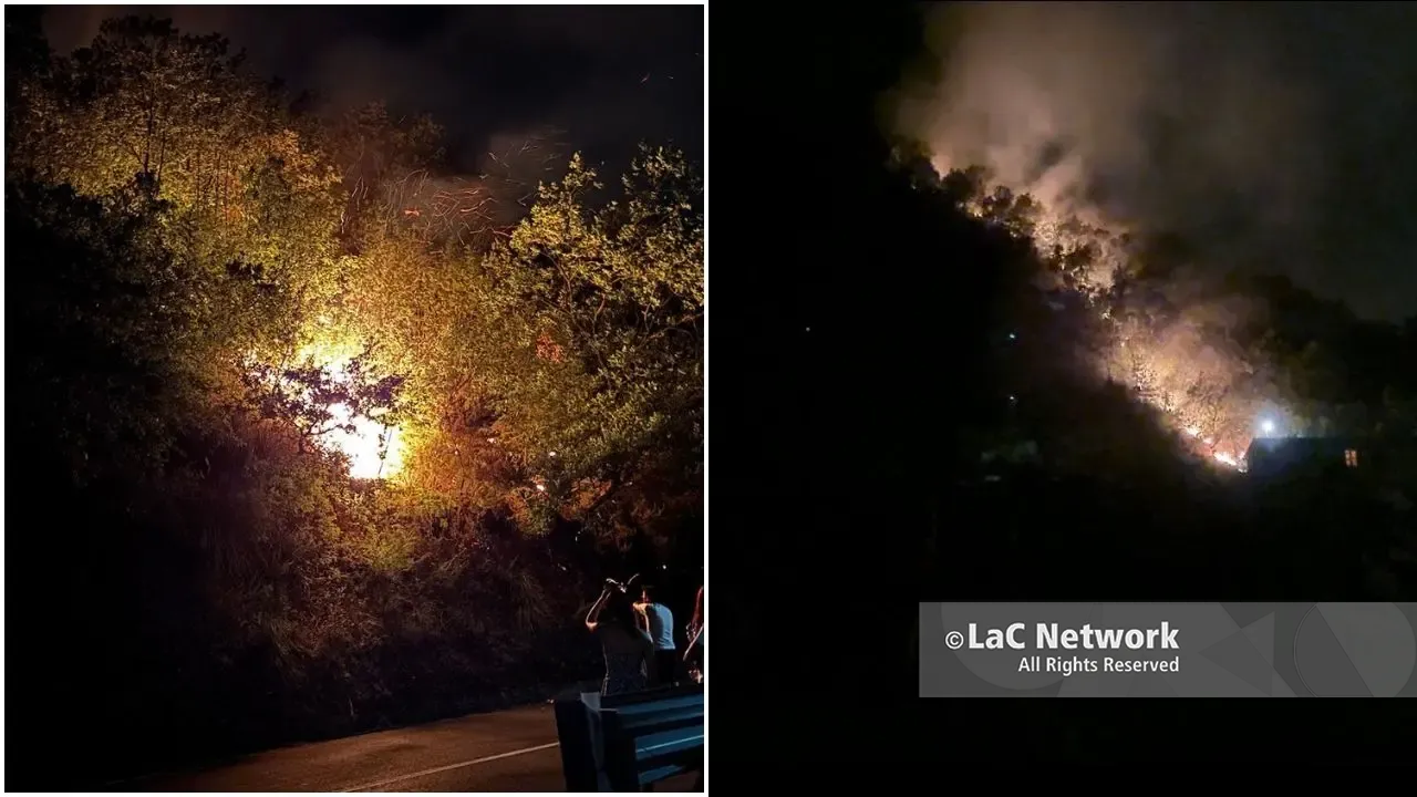 Incendio sulla Sp 257 a Carolei: residenti in strada per proteggere le proprie case dalle fiamme\u00A0–\u00A0VIDEO\u00A0\n